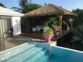 Villa tropicale avec piscine à Saint François
